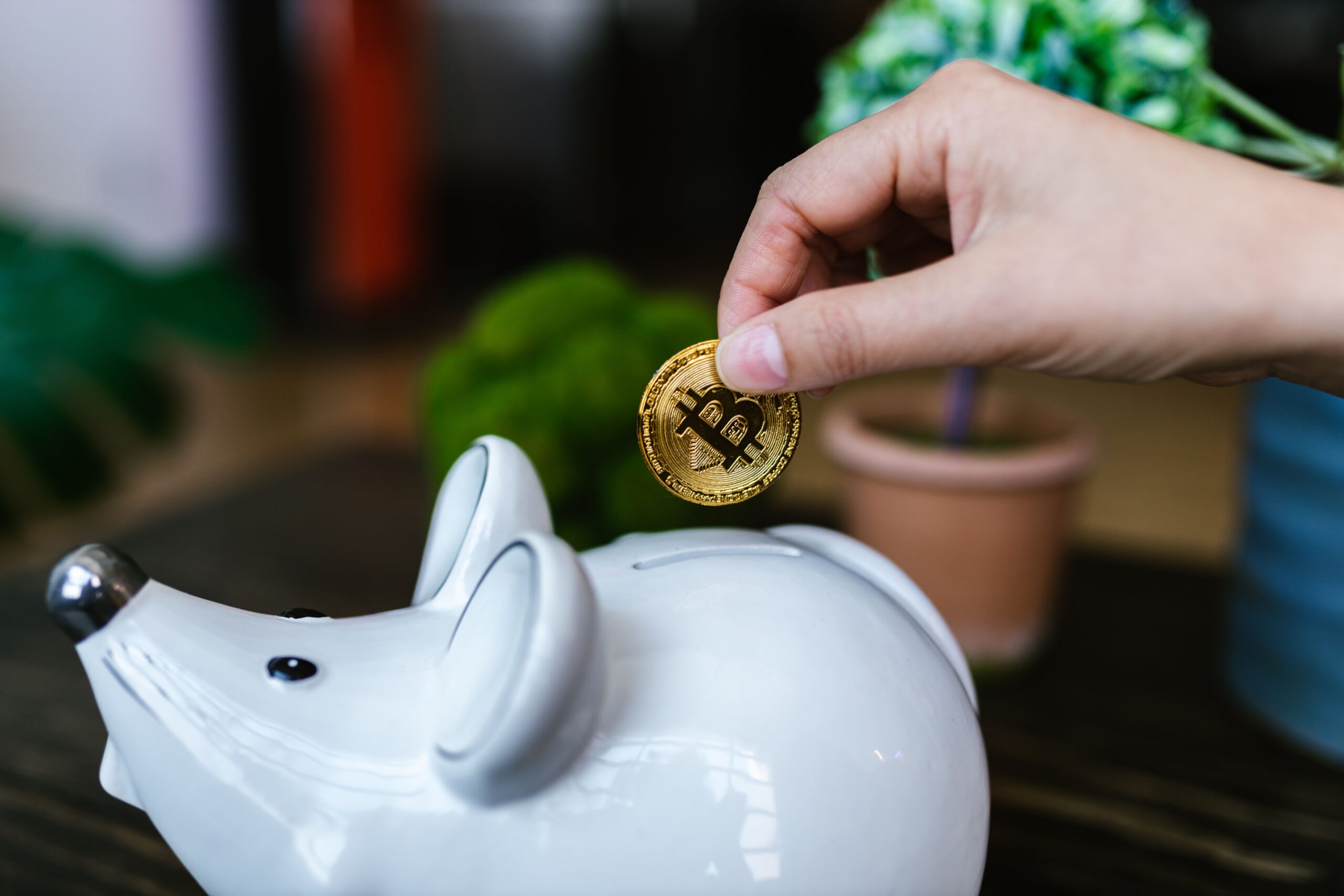 3 investments not beating inflation including FD, PPF and savings account